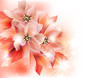 floral decorative background floral decorative background