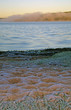 Frozen beach in november Frozen beach in november