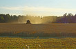 Harvest in the autumn Harvest in the autumn