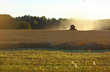 Harvest in the autumn Harvest in the autumn