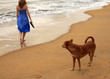 Dog and girl Dog and girl