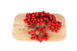 Photo: Still life with red natural rowan on a white background Still life with red natural rowan on a white background