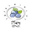 plum