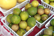 containers of limes