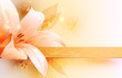 floral decorative background
