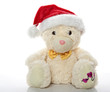teddy bear gift