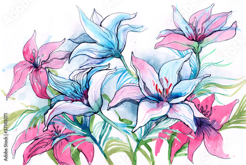 Illustration: lily flowers (series C) lily flowers (series C)
