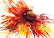 Illustration: Flower Flower