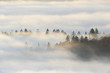 Nebelmeer