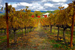 Photo: Napa Winery in the fall Napa Winery in the fall