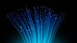 Fiber optic loop