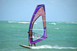 Purple Windsurf Sail