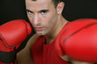 Boxer on black background