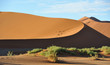 Dunes dans le désert du Namib, Namibie Dunes dans le désert du Namib, Namibie