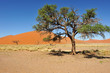 Dunes dans le désert du Namib, Namibie Dunes dans le désert du Namib, Namibie