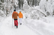 Walker im Winterwald