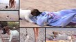 jack russel on vacation