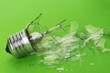 The broken bulb The broken bulb