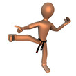 3D MARTIAL ARTS