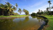 Sunny tropical landscape with pond and palmtrees.
