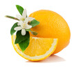 Orange, flower and slice. Orange, flower and slice.