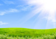 Photo: Green grass Green grass