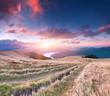 Colorful autumn landscape in the mountains. Sunrise
