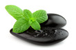 Fresh mint on the black stones