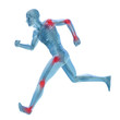 High resolution conceptual 3D human for anatomy High resolution conceptual 3D human for anatomy