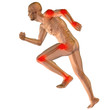 High resolution conceptual 3D human for anatomy High resolution conceptual 3D human for anatomy