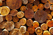 Woodpile