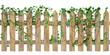 fence