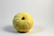 zucca ornamentale zucca ornamentale