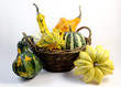 Zucche ornamentali Zucche ornamentali