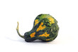 Zucca ornamentale Zucca ornamentale
