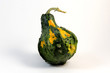 Zucca ornamentare Zucca ornamentare