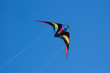 Flying Kite.