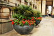 Foto: Flower pots Flower pots