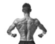 fitness model