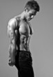 fitness model