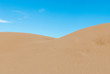 Dune abstract