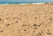 Dirty beach