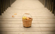 Fruit Basket
