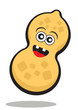 Vector: illustration of peanut illustration of peanut