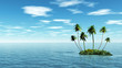 Palms