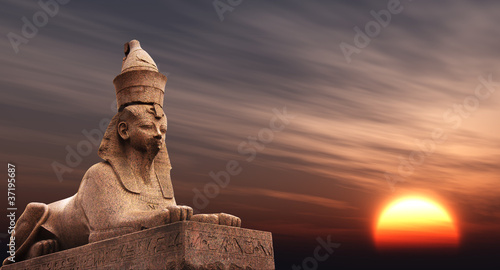 Photo: Sphinx Sphinx
