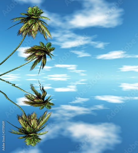 Illustration: Palms Palms