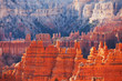 Bryce