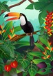 Toucan bird Toucan bird