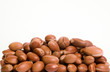 noyau d'argan